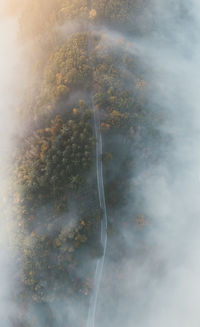 High angle view of trees against sky during autumn