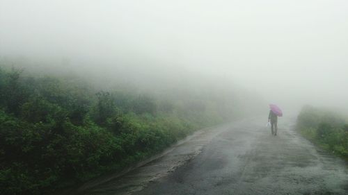 Rear view of man walking on road in foggy weather