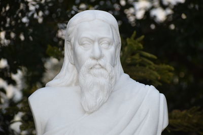 Close-up of statue against trees