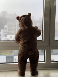 Babyboy in bear custome looking through the window 