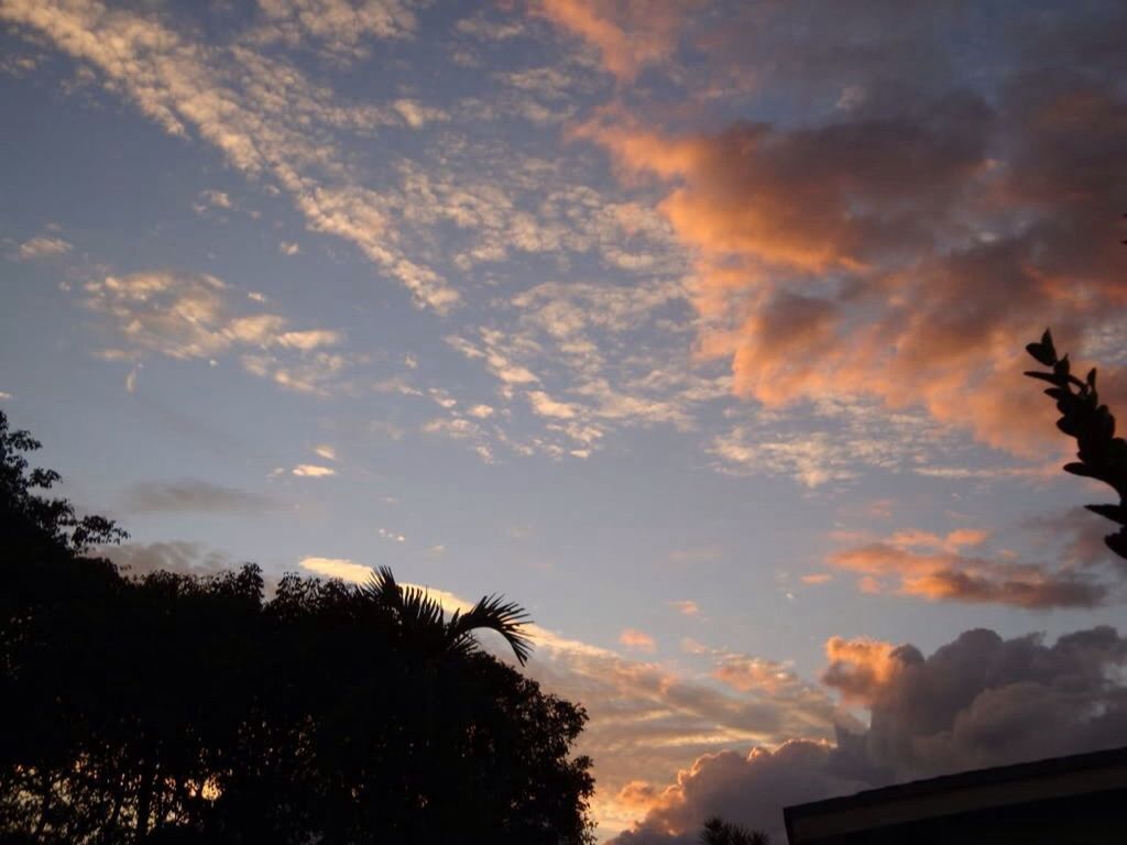 sky, cloud - sky, low angle view, sunset, cloudy, silhouette, cloud, beauty in nature, nature, tree, scenics, tranquility, weather, orange color, outdoors, dramatic sky, tranquil scene, no people, dusk, overcast