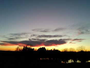 Silhouette of trees at sunset