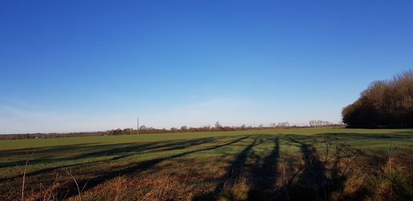 Scenic view of field against clear blue sky