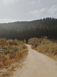 Road amidst trees against sky