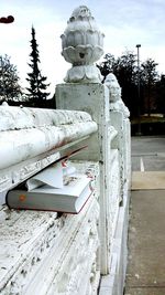 View of tree against sky