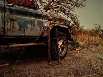 Abandoned motorcycle on tree