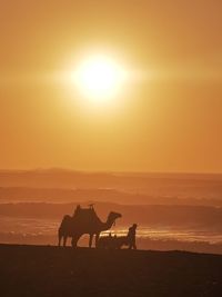 Silhouette people riding horse on beach during sunset