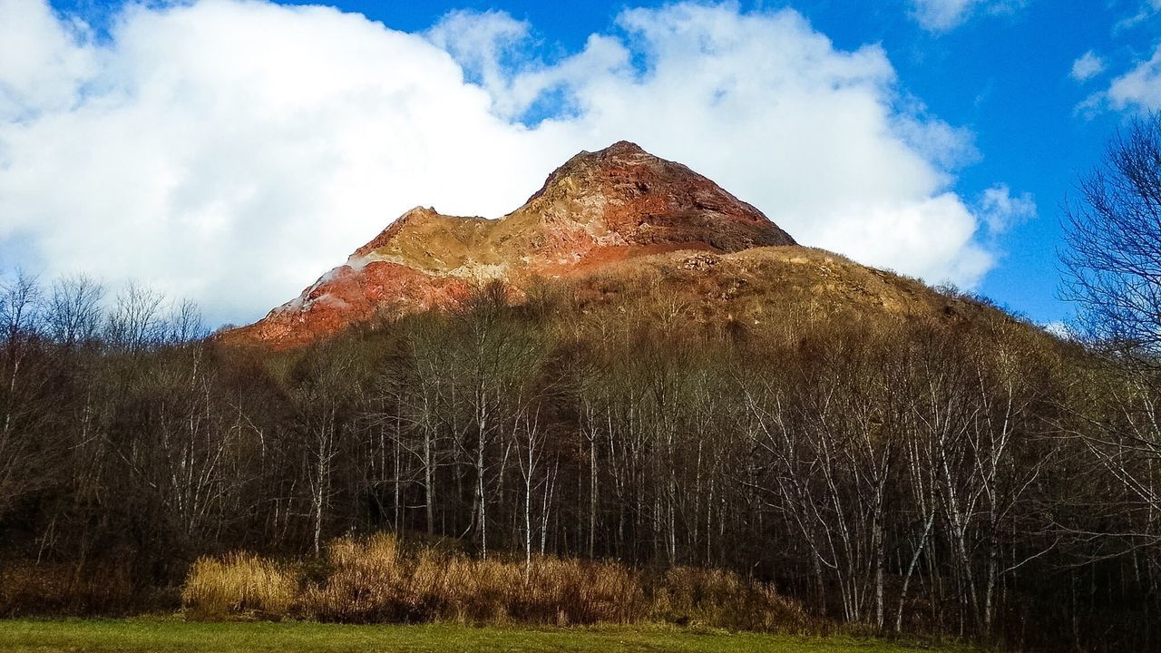 tree, tranquil scene, sky, tranquility, low angle view, beauty in nature, scenics, nature, landscape, non-urban scene, forest, cloud - sky, majestic, mountain, travel destinations, growth, day, outdoors, blue, no people, tourism, woodland, green color, overgrown, tall - high, geology, solitude, physical geography, remote