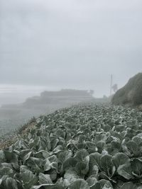 Scenic view of landscape against sky during winter