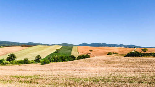 Scenic view of landscape against clear blue sky