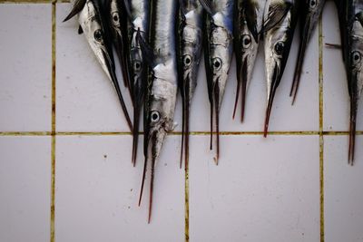 Directly above shot of dead fishes on tiled floor