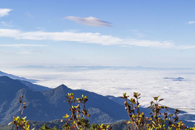 Mountain and mist views at doi inthanon national park, chiang mai, thailand