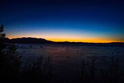 Scenic view of silhouette plants against clear sky at sunset