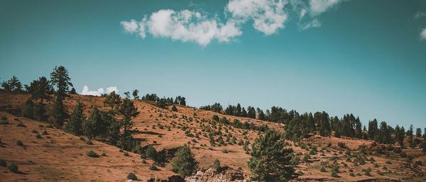 Panoramic view of landscape against blue sky