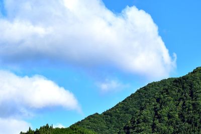 Low angle view of trees against sky