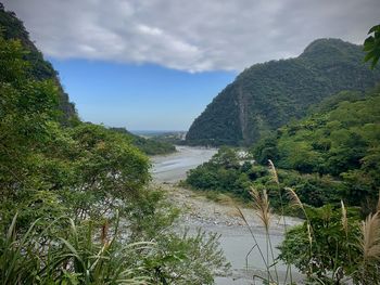 Scenic view of river amidst trees against sky