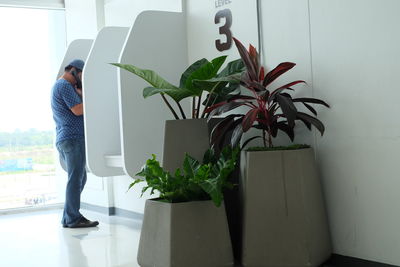 Side view of woman standing by potted plant