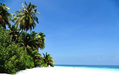 Scenic view of sea against clear blue sky