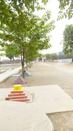 Empty footpath with trees in background