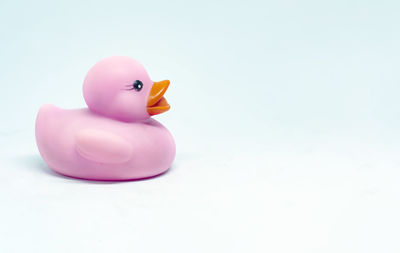 Close-up of stuffed toy over white background