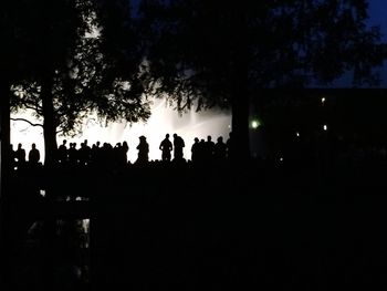 Silhouette of people in park