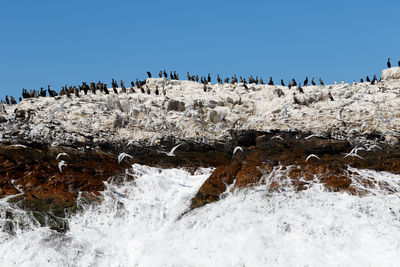 Panoramic view of sea shore against clear sky