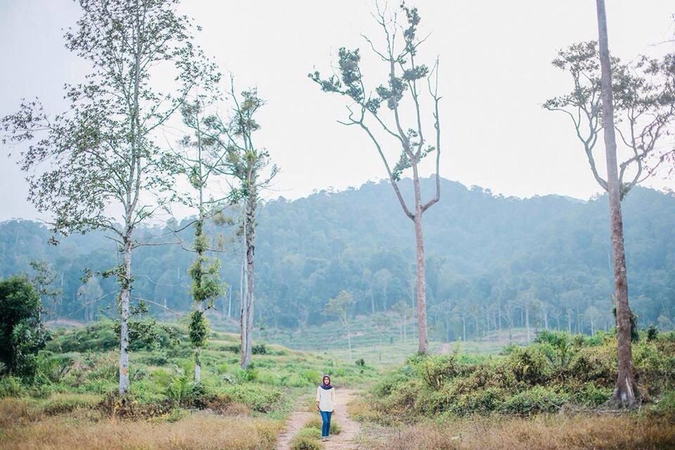 tree, lifestyles, rear view, leisure activity, full length, mountain, tranquility, landscape, tranquil scene, men, standing, casual clothing, nature, scenics, person, beauty in nature, sky, grass