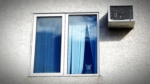 Close-up of blue window