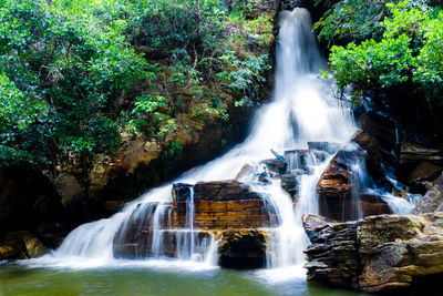 View of waterfall in forest
