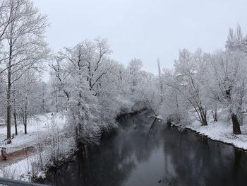 Snow covered bare trees against sky