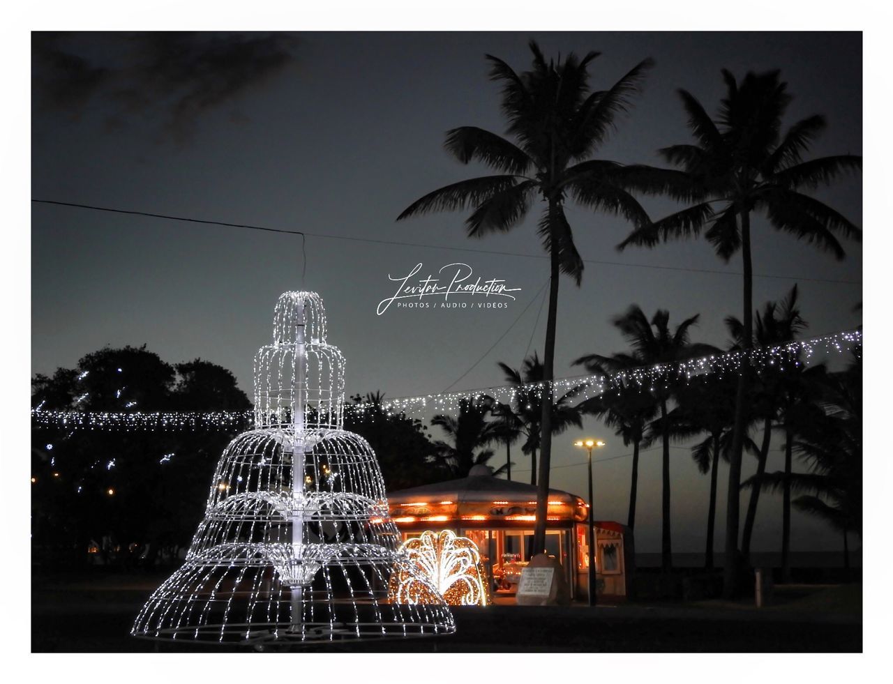 tree, illuminated, palm tree, tropical climate, plant, transfer print, night, auto post production filter, nature, sky, no people, architecture, christmas decoration, lighting equipment, christmas, celebration, building exterior, christmas tree, dusk, outdoors