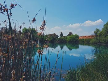 Scenic view of lake against sky