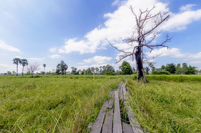 Scenic view of field against sky