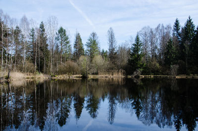 Reflection of trees in lake against sky