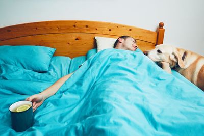 Dog sleeping on bed