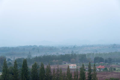 Trees on landscape against sky