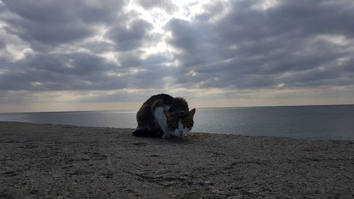 Scenic view of sea against sky