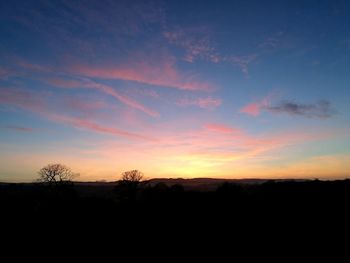 Silhouette trees against sky during sunset