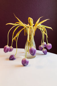 Close-up of flowers over white background