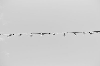 Low angle view of birds perching on cable against clear sky