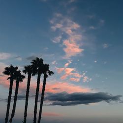 Low angle view of silhouette palm trees against sky