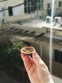 Close-up of hand holding passion fruit