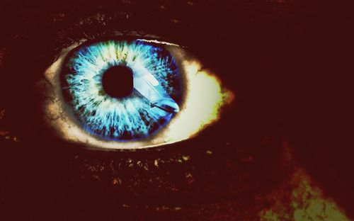 Extreme close up of human eye