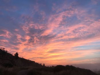 Low angle view of silhouette trees against sky during sunset