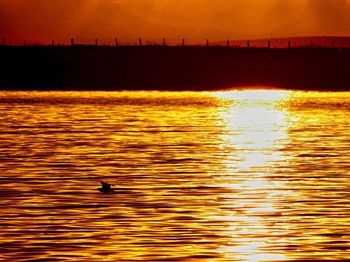 Scenic view of sea against orange sky