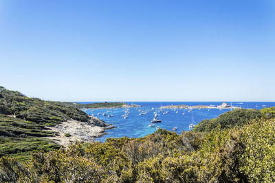 Scenic view of sea against clear blue sky