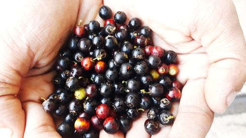 Midsection of person holding fruits