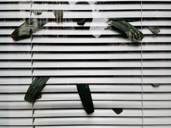 High angle view of shutters with leaves