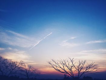 Low angle view of trees against cloudy sky