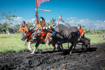 People riding horse on field against sky